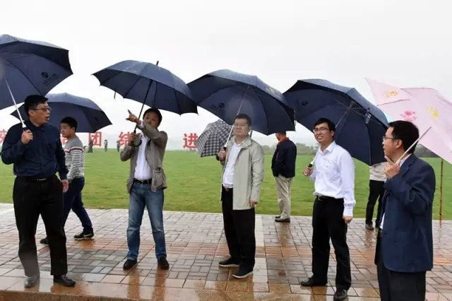 雨中巡視，把好&ldquo;新區(qū)&rdquo;掛牌前最后一道關！
