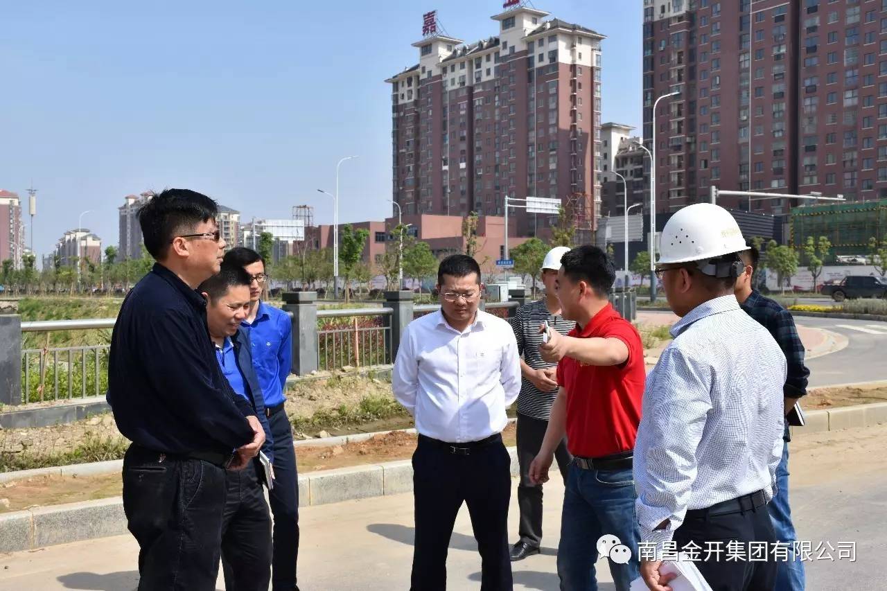 金開集團(tuán)高管深入在建重大、重點項目進(jìn)行調(diào)研