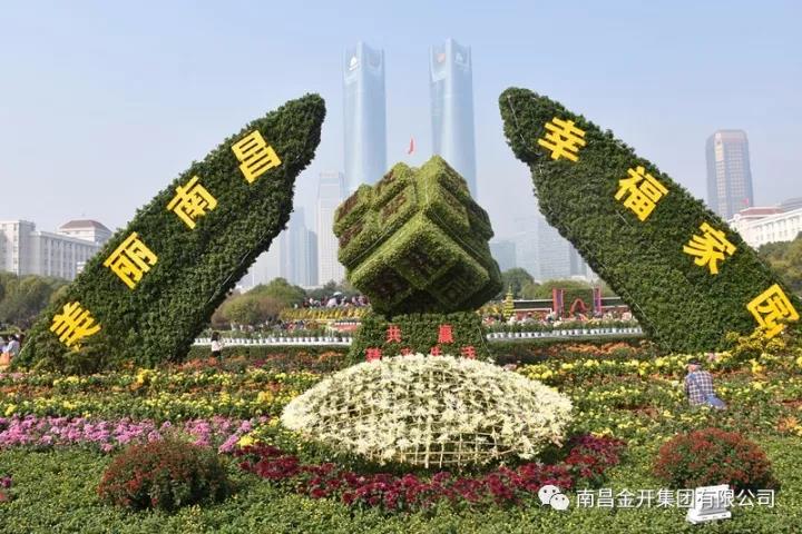 美！萬千菊花姹紫嫣紅 &ldquo;活力經(jīng)開&rdquo;初露真容