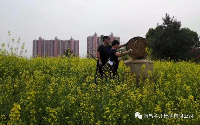 管護(hù)公司對(duì)區(qū)內(nèi)雙港大道等14條污水管道開展管道檢測(cè)工作