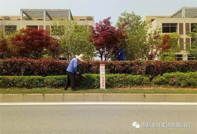 全力開展環(huán)境整治&nbsp; 營造清潔優(yōu)美環(huán)境