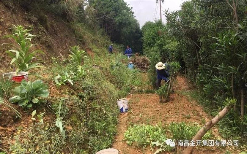 整治違規(guī)菜地，還居民一個良好生活環(huán)境