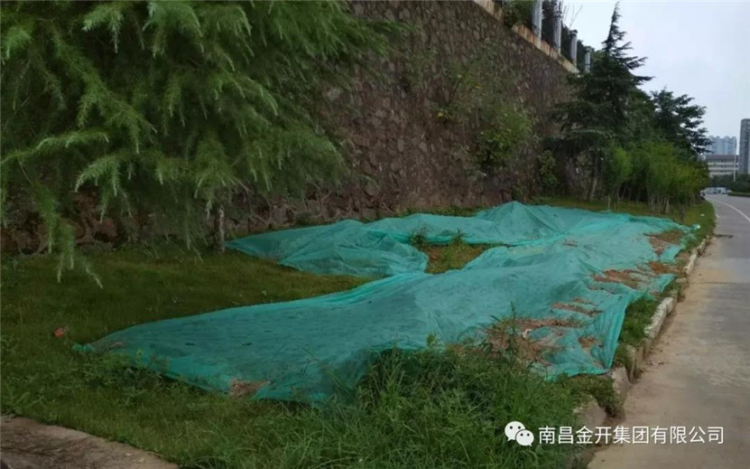 龍?zhí)堵肺鬯芫W(wǎng)鋪設(shè)及道路恢復(fù)工作順利完工