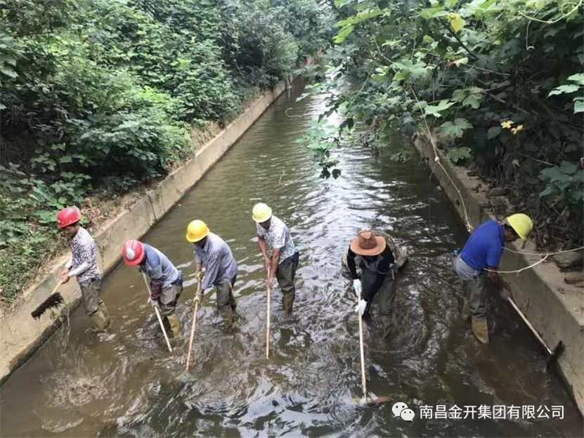 龍?zhí)端?、麥廬支渠黑色底泥清淤處置工作正穩(wěn)步推進中