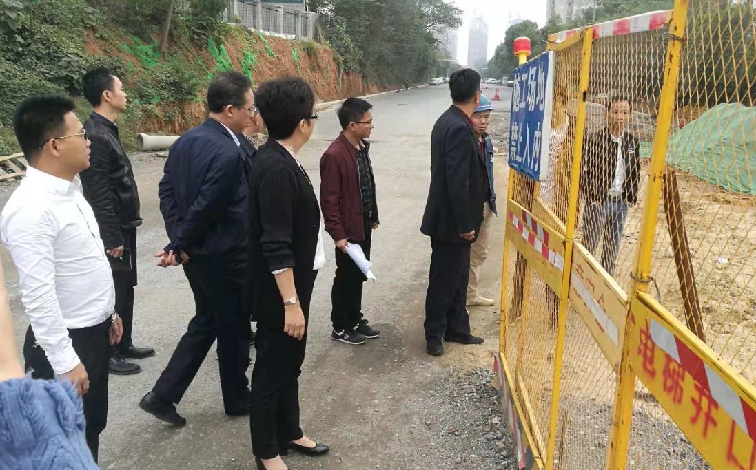 區(qū)管委會副主任王勵現(xiàn)場調(diào)研黃家湖東路、菊圃路等項目城