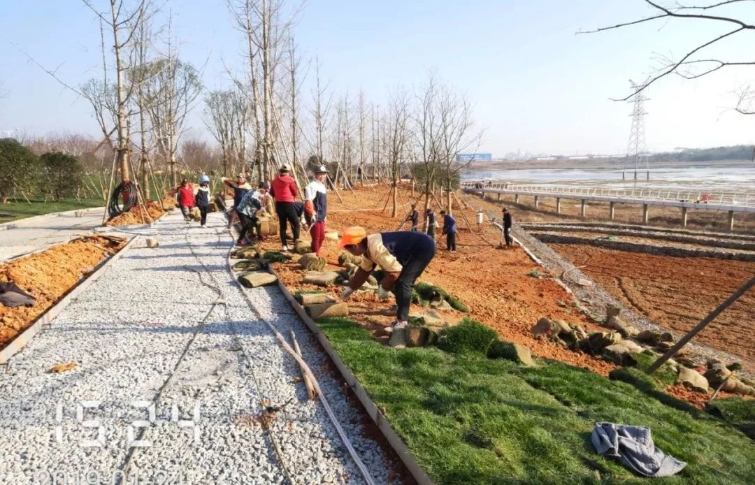 又一新去處！儒樂湖生態(tài)公園將于春節(jié)前開園 