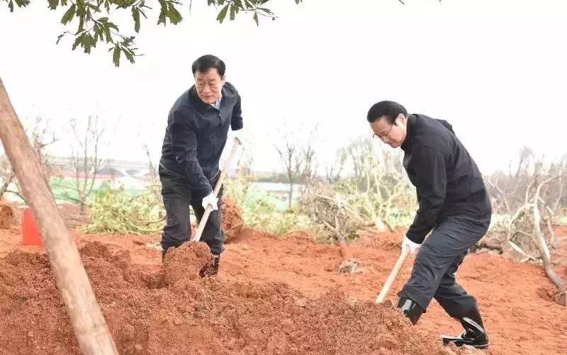 迎春潮 | 省委書記、省長帶領(lǐng)大家一同植樹 