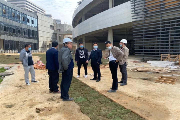 集團副總經理胡許亮督導推進儒樂湖片區(qū)重大重點項目建設