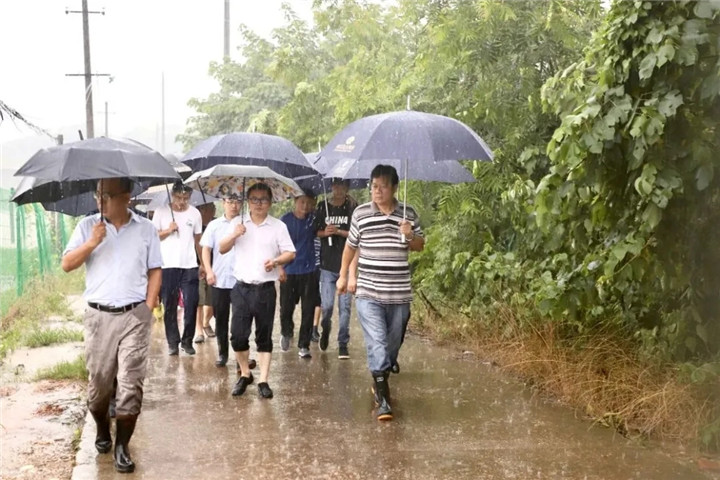 【專題報道】聞&ldquo;汛&rdquo;而動、風(fēng)雨無阻